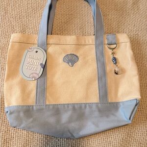 Charm Mini Tote Bag in Light Blue and Cream